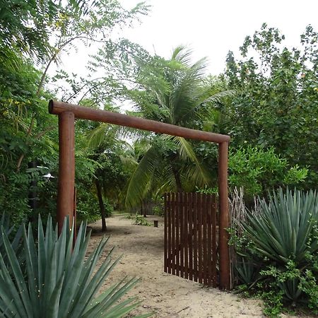 فندق Jungle House ساو ميجيل دو غوستوسو المظهر الخارجي الصورة
