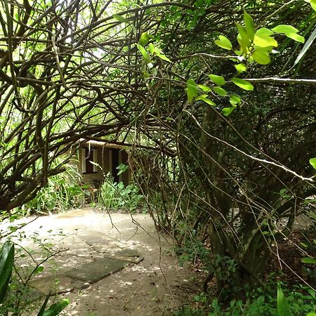 فندق Jungle House ساو ميجيل دو غوستوسو المظهر الخارجي الصورة