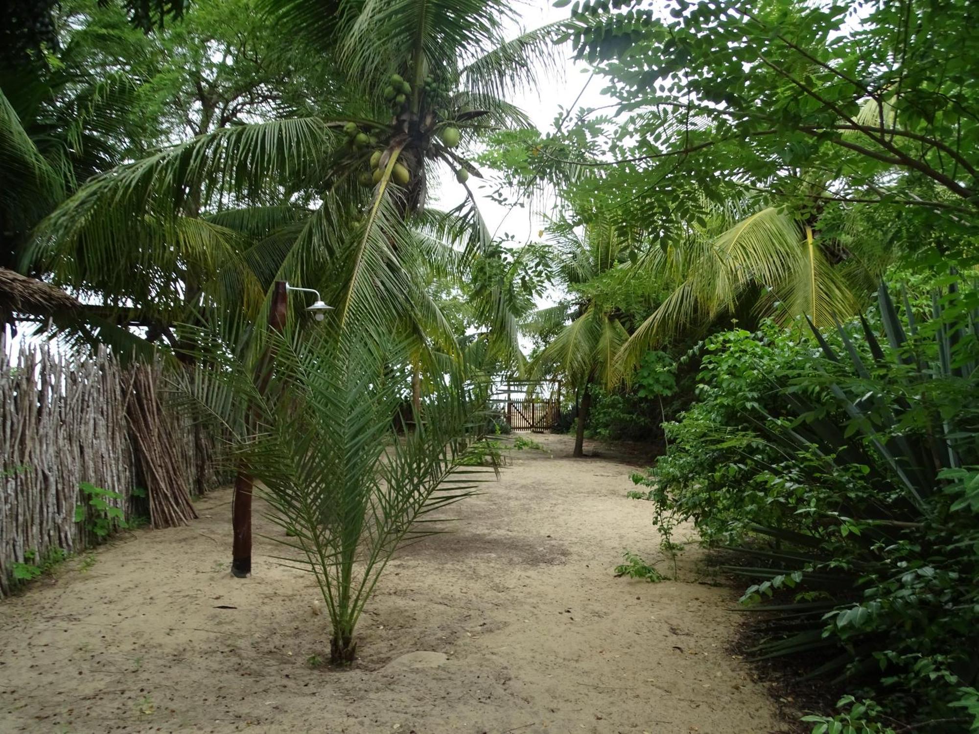 فندق Jungle House ساو ميجيل دو غوستوسو المظهر الخارجي الصورة