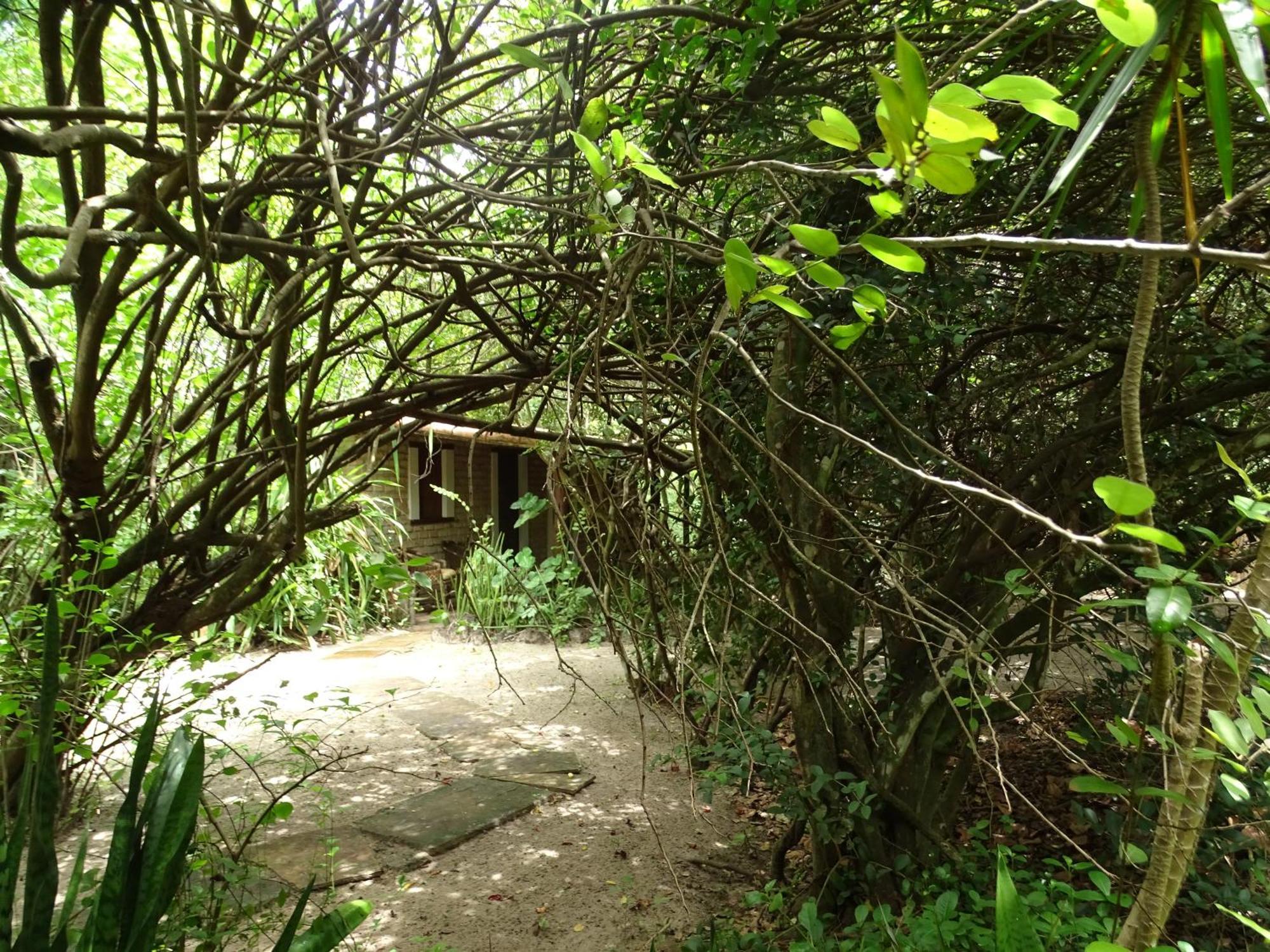 فندق Jungle House ساو ميجيل دو غوستوسو المظهر الخارجي الصورة