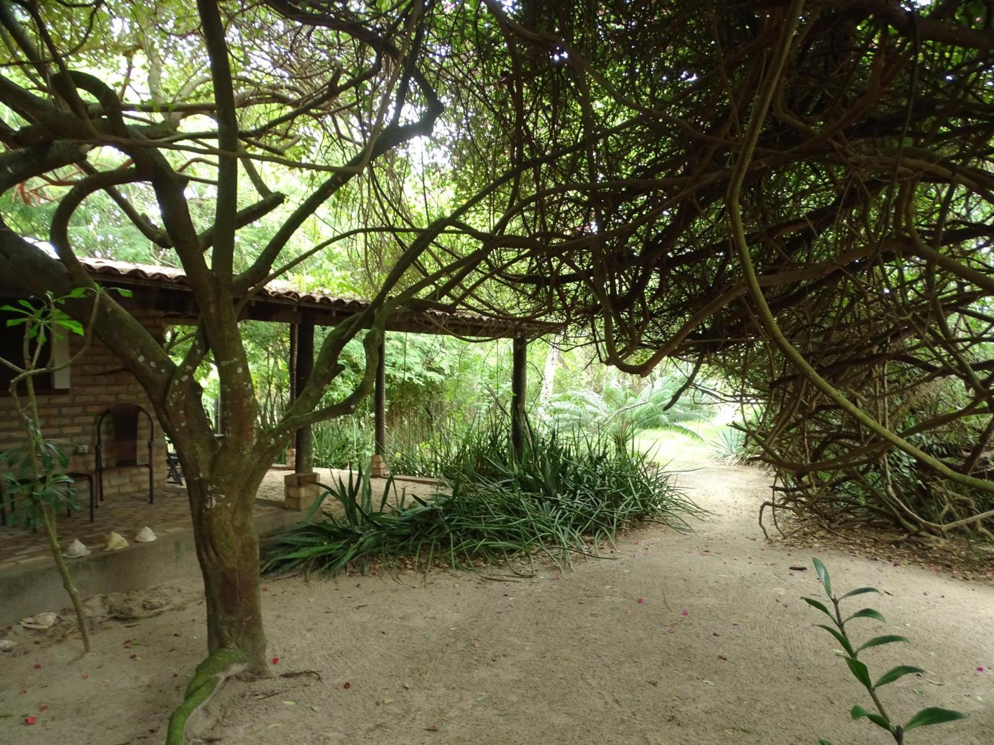 فندق Jungle House ساو ميجيل دو غوستوسو المظهر الخارجي الصورة