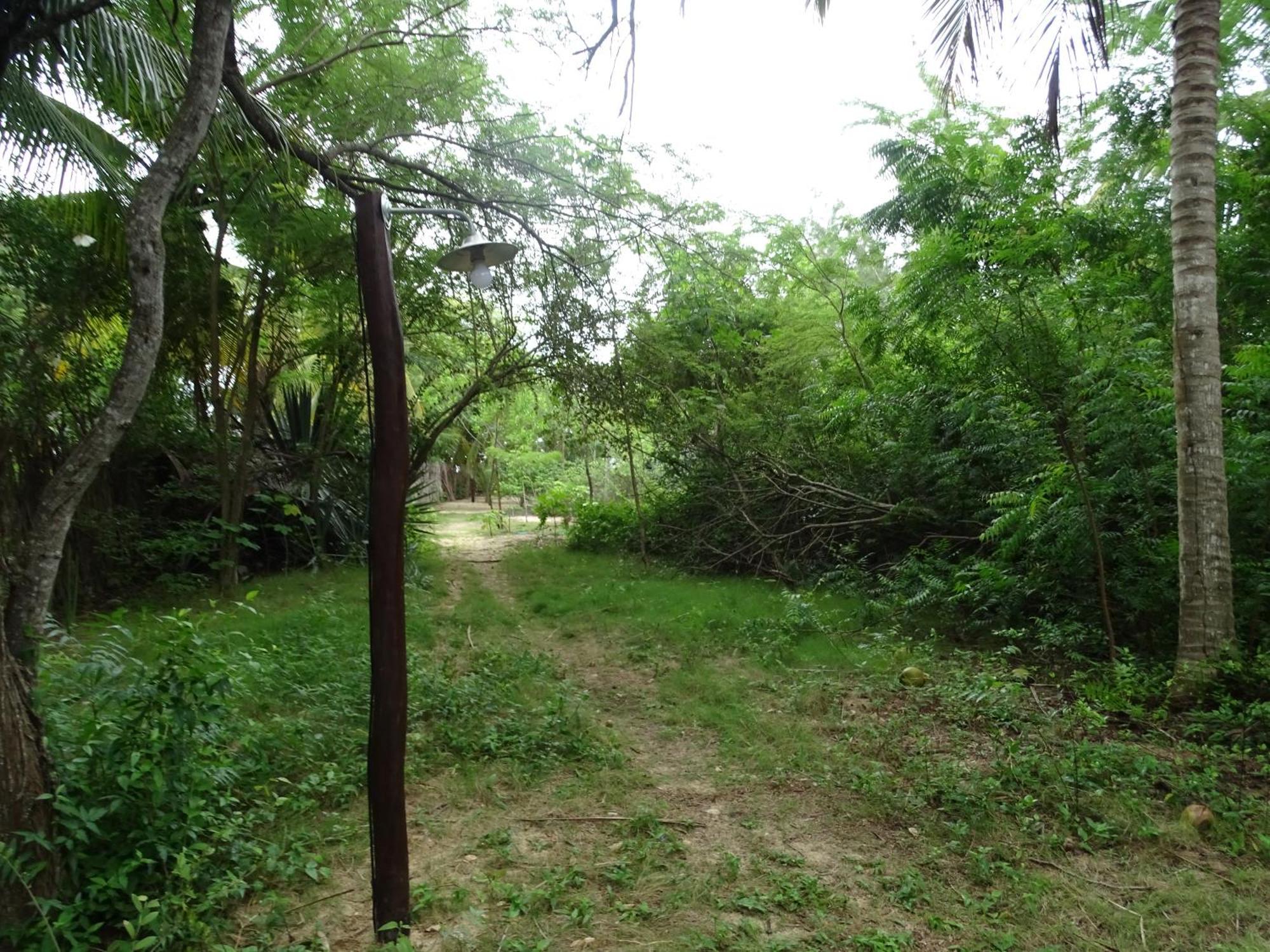 فندق Jungle House ساو ميجيل دو غوستوسو المظهر الخارجي الصورة