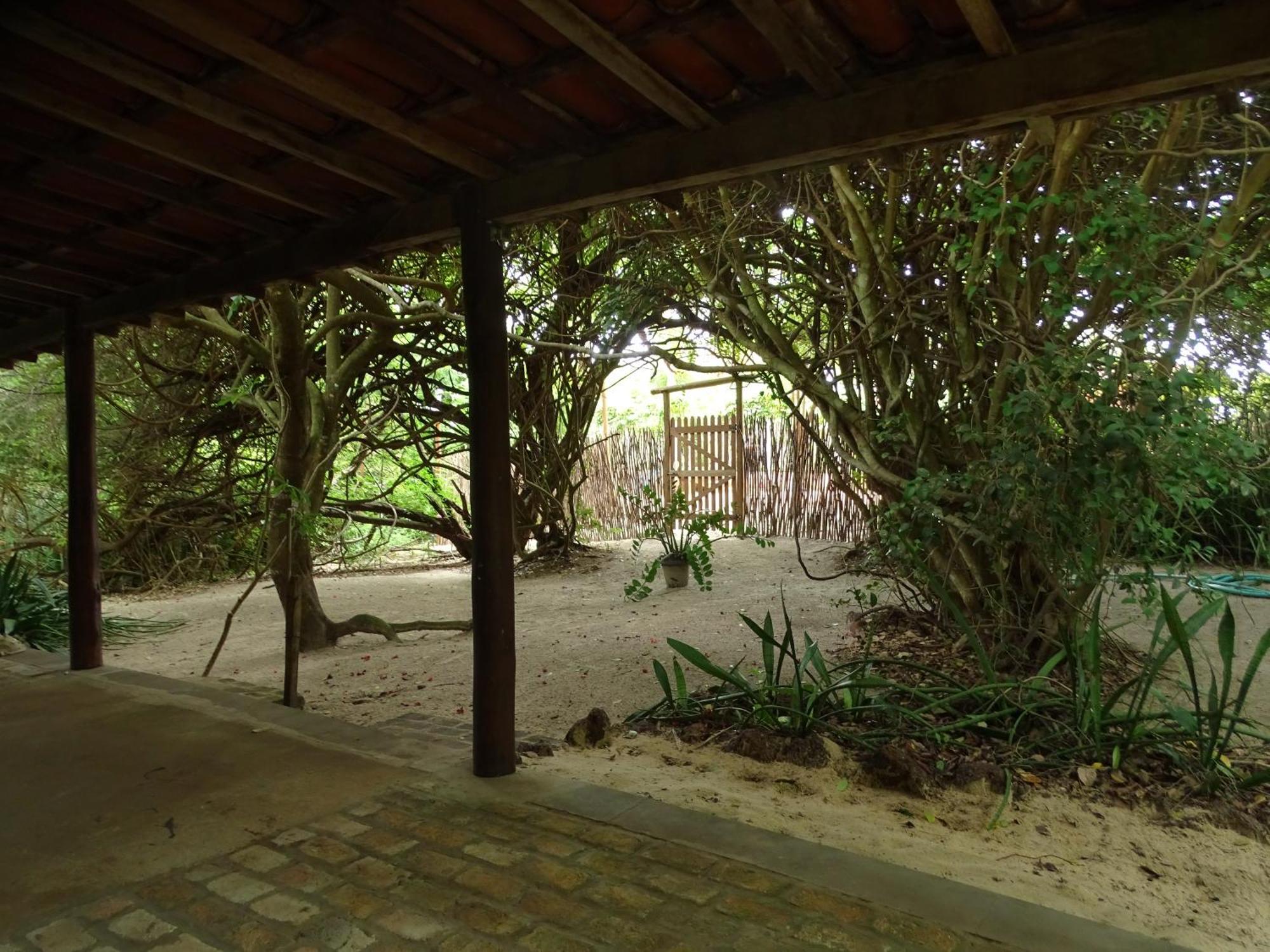 فندق Jungle House ساو ميجيل دو غوستوسو المظهر الخارجي الصورة